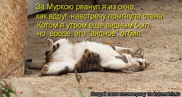 Котоматрица: За Муркою рванул я из окна, как вдруг, навстречу прыгнула стена Котом я утром еще видным был, но, вроде, это "видное" отбил...