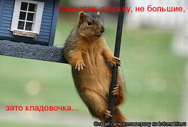 Котоматрица: Комнатки, я скажу, не большие,  зато кладовочка...