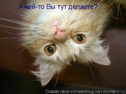 Котоматрица: А чей-то Вы тут делаете?