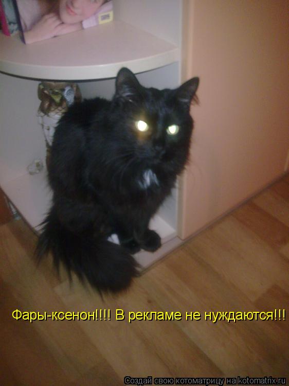 Котоматрица: Фары-ксенон!!!! В рекламе не нуждаются!!!