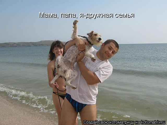 Котоматрица: Мама, папа, я-дружная семья