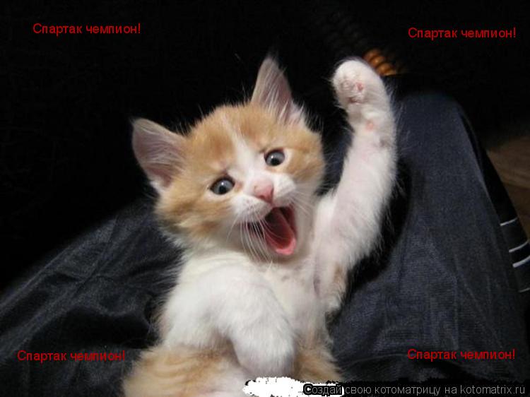 Котоматрица: Спартак чемпион! Спартак чемпион! Спартак чемпион! Спартак чемпион!