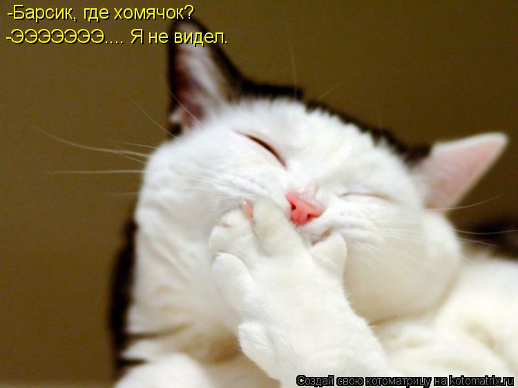 -Барсик, где хомячок? -ЭЭЭЭЭЭЭ.... Я не видел.... Котоматрица: -Барсик, где хомячок? -ЭЭЭЭЭЭЭ.... Я не видел.