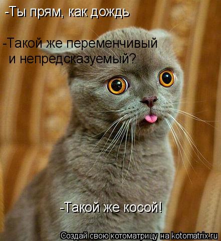 Котоматрица: -Ты прям, как дождь -Такой же косой! -Такой же переменчивый и непредсказуемый?