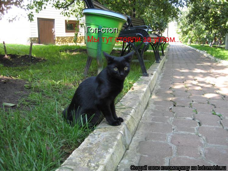 Котоматрица: Гоп-стоп Мы тут стояли за углом...