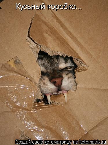 Котоматрица: Кусьный коробко...