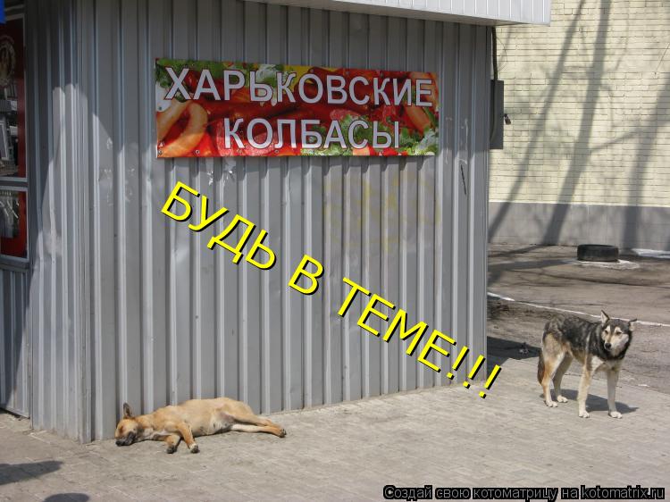Котоматрица: БУДЬ В ТЕМЕ!!!