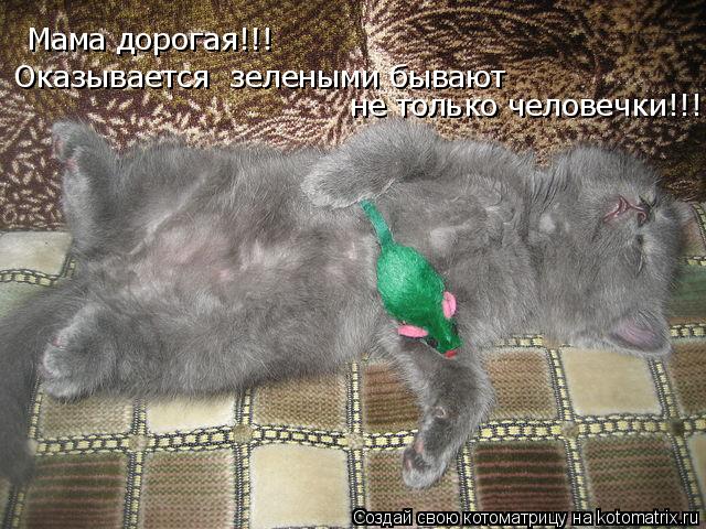 Котоматрица: Мама дорогая!!!  Оказывается  зелеными бывают  не только человечки!!!