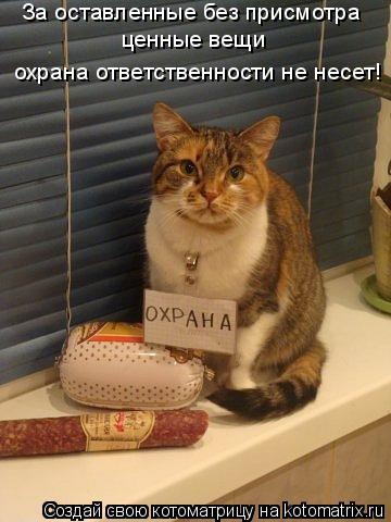Котоматрица: За оставленные без присмотра ценные вещи охрана ответственности не несет!