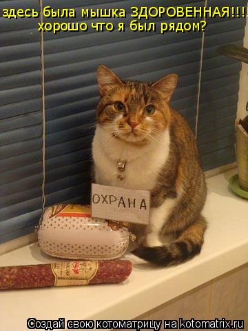 Котоматрица: здесь была мышка ЗДОРОВЕННАЯ!!!!!! хорошо что я был рядом?
