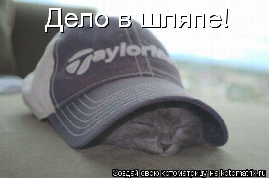 Котоматрица: Дело в шляпе!