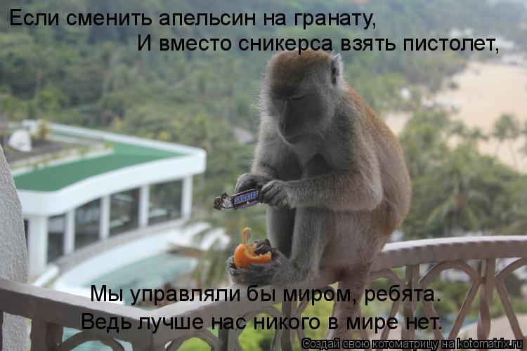 Котоматрица: Если сменить апельсин на гранату,  И вместо сникерса взять пистолет,  Мы управляли бы миром, ребята. Ведь лучше нас никого в мире нет.
