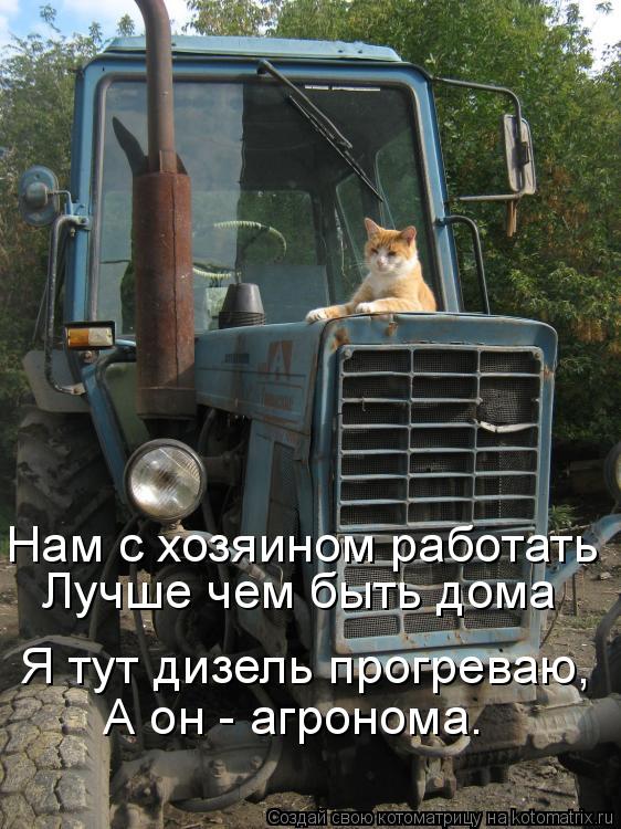 Котоматрица: Нам с хозяином работать Лучше чем быть дома Я тут дизель прогреваю, А он - агронома.
