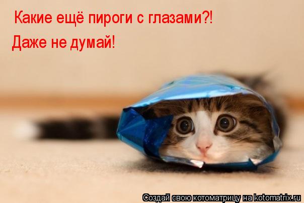 Какие ещё пироги с глазами?! Даже не думай!... Котоматрица: Какие ещё пироги с глазами?! Даже не думай!