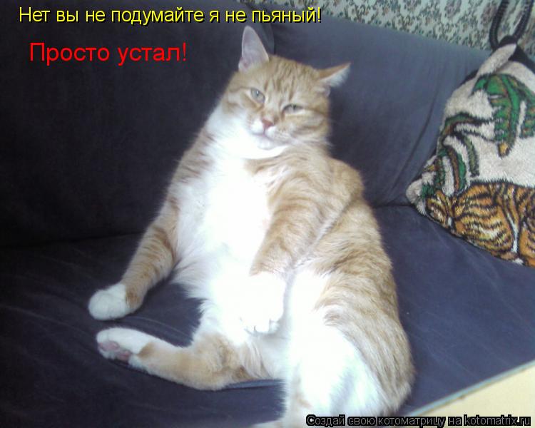Нет вы не подумайте я не пьяный! Просто устал!... Котоматрица: Нет вы не подумайте я не пьяный! Просто устал!