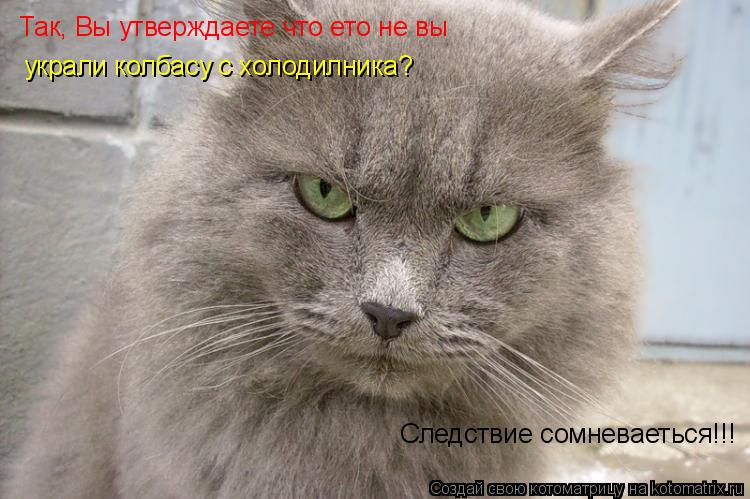 Так, Вы утверждаете что ето не вы украли колбасу с холодилника? Следствие сомневаеться!!!... Котоматрица: Так, Вы утверждаете что ето не вы украли колбасу с холодилника? Следствие сомневаеться!!!