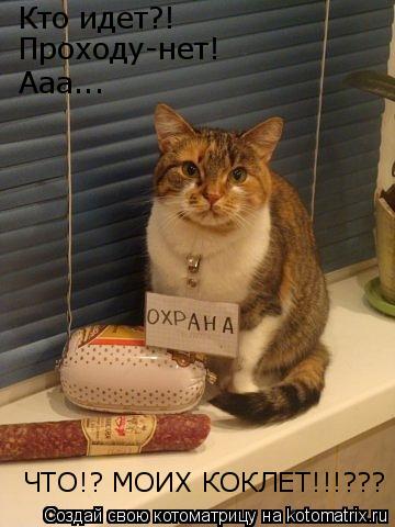 Кто идет?! Проходу-нет! Ааа... ЧТО!? МОИХ КОКЛЕТ!!!???... Котоматрица: Кто идет?! Проходу-нет! Ааа... ЧТО!? МОИХ КОКЛЕТ!!!???