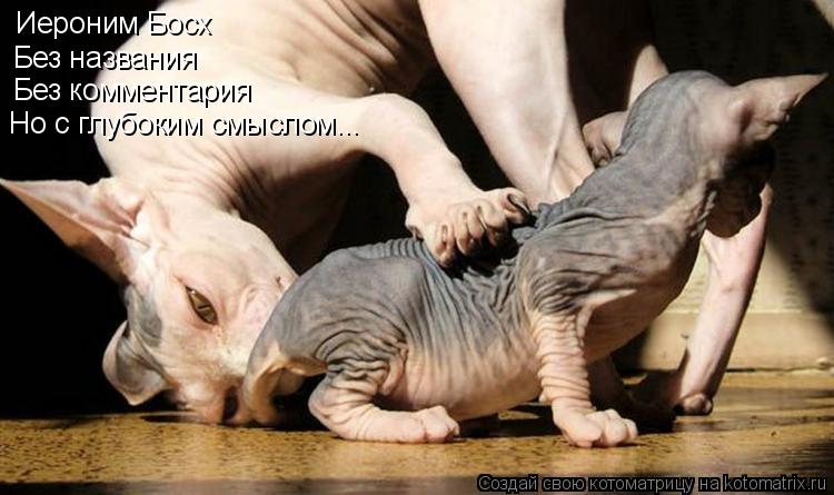 Иероним Босх Без названия Без комментария Но с глубоким смыслом...... Котоматрица: Иероним Босх Без названия Без комментария Но с глубоким смыслом...