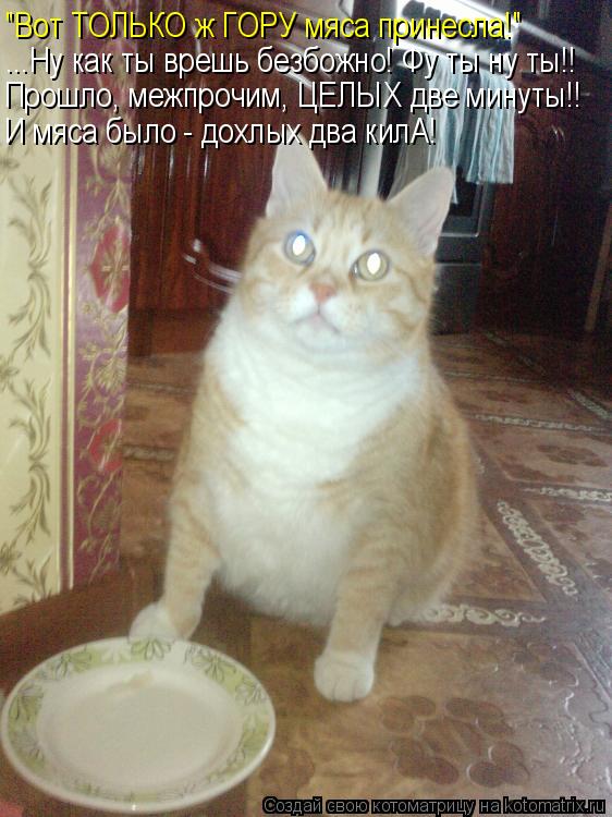 "Вот ТОЛЬКО ж ГОРУ мяса принесла!" ...Ну как ты врешь безбожно! Фу ты ну ты!! Прошло, межпрочим, ЦЕЛЫ... Котоматрица: "Вот ТОЛЬКО ж ГОРУ мяса принесла!" ...Ну как ты врешь безбожно! Фу ты ну ты!! Прошло, межпрочим, ЦЕЛЫХ две минуты!! И мяса было - дохлых два килА!