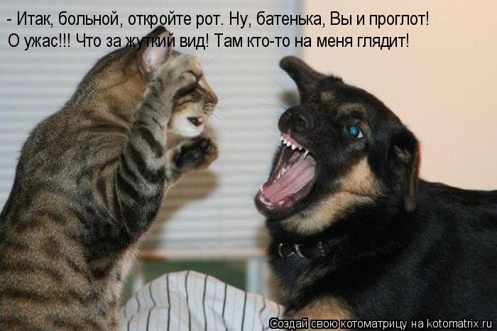 Котоматрица: - Итак, больной, откройте рот. Ну, батенька, Вы и проглот! О ужас!!! Что за жуткий вид! Там кто-то на меня глядит!