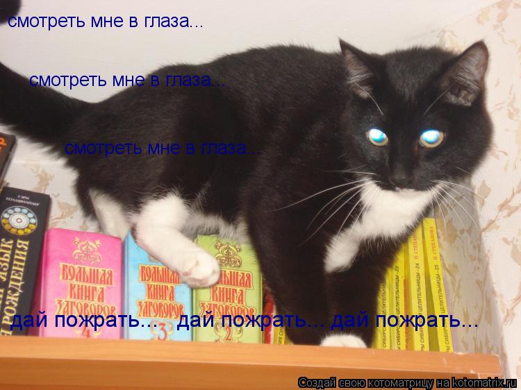 дай пожрать... дай пожрать... дай пожрать... смотреть мне в глаза... смотреть мне в глаза... см... Котоматрица: дай пожрать... дай пожрать... дай пожрать... смотреть мне в глаза... смотреть мне в глаза... смотреть мне в глаза...
