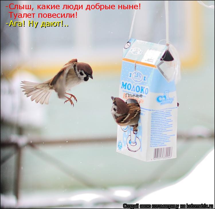 Котоматрица: Птичье -Слыш, какие люди добрые ныне! Туалет повесили! -Ага! Ну дают!..