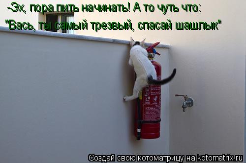 Котоматрица: -Эх, пора пить начинать! А то чуть что:  "Вась, ты самый трезвый, спасай шашлык"