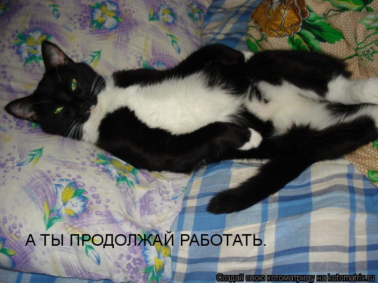 Котоматрица: А ТЫ ПРОДОЛЖАЙ РАБОТАТЬ.