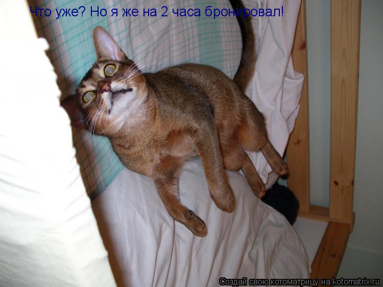 Котоматрица: Что уже? Но я же на 2 часа бронировал!