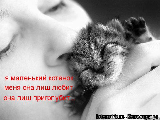 Котоматрица: я маленький котёнок меня она лиш любит она лиш приголубит...