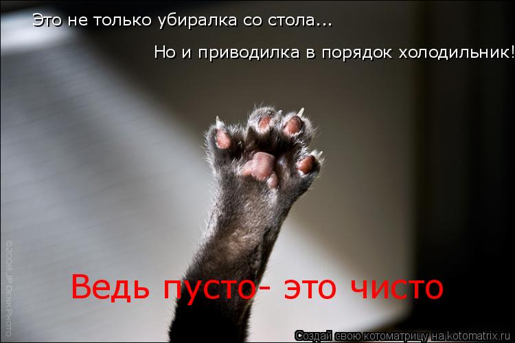 Котоматрица: Это не только убиралка со стола... Но и приводилка в порядок холодильник! Ведь пусто- это чисто