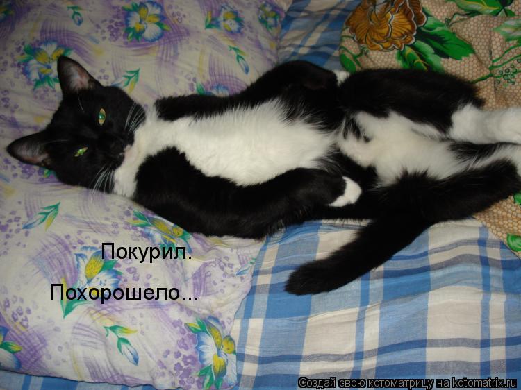 Котоматрица: Покурил. Похорошело...