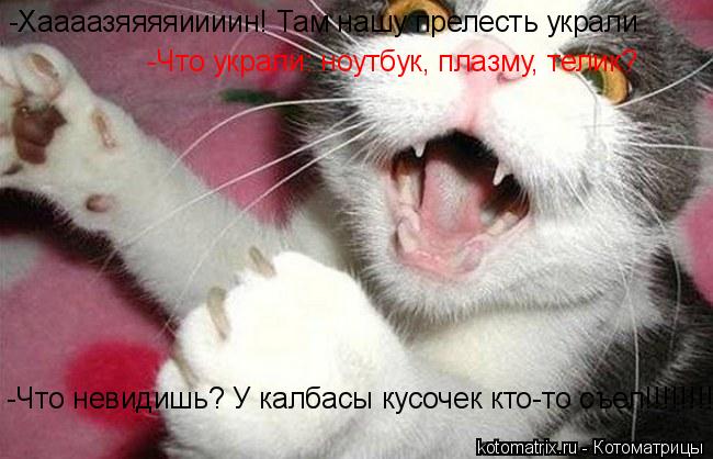 Котоматрица: -Хаааазяяяяиииин! Там нашу прелесть украли -Что украли: ноутбук, плазму, телик? -Что невидишь? У калбасы кусочек кто-то съел!!!!!!!!!!!!!!!!!!!!!!!!!!