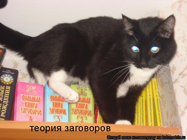 Котоматрица: теория заговоров
