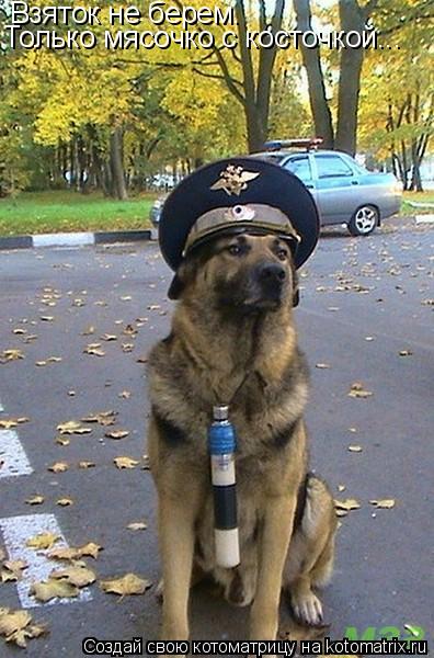 Котоматрица: Взяток не берем. Только мясочко с косточкой...