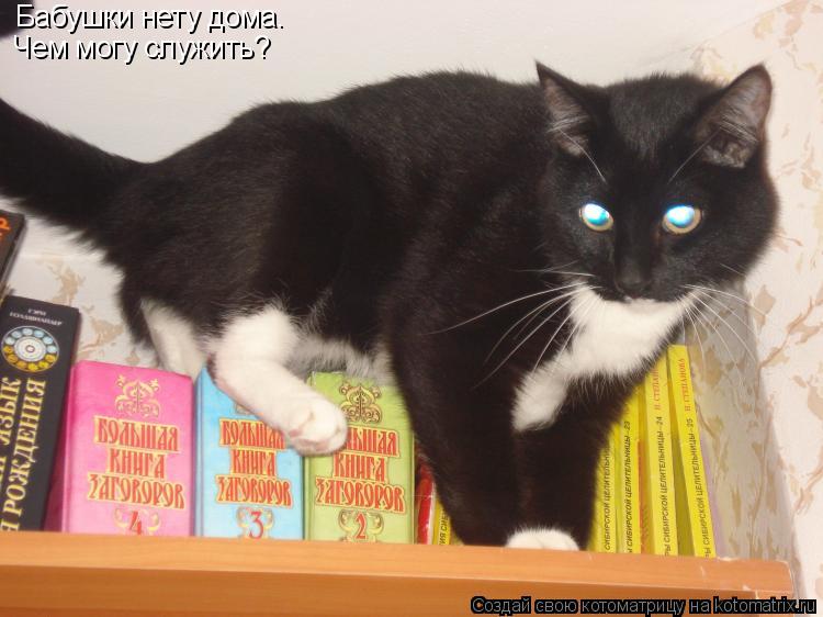 Котоматрица: Бабушки нету дома. Чем могу служить?