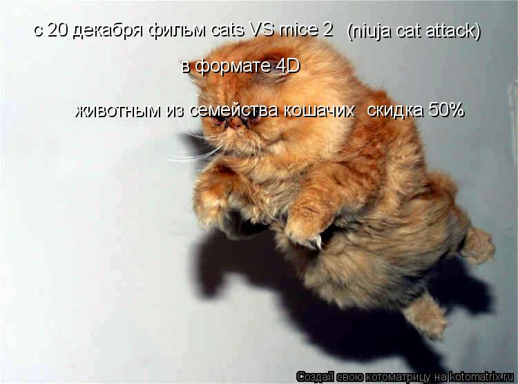 Котоматрица: с 20 декабря фильм cats VS mice 2 (niuja cat attack) в формате 4D животным из семейства кошачих  скидка 50%