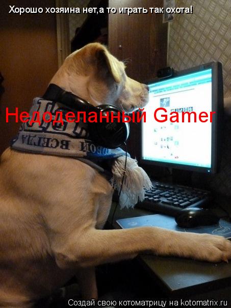 Хорошо хозяина нет,а то играть так охота! Недоделанный Gamer... Котоматрица: Хорошо хозяина нет,а то играть так охота! Недоделанный Gamer