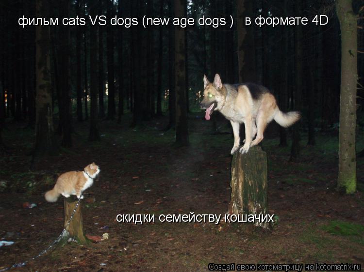 фильм cats VS dogs (new age dogs ) в формате 4D скидки семейству кошачих... Котоматрица: фильм cats VS dogs (new age dogs ) в формате 4D скидки семейству кошачих