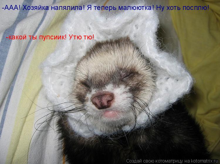 -ААА! Хозяйка напялила! Я теперь малюютка! Ну хоть посплю! -какой ты пупсиик! Утю тю!... Котоматрица: -ААА! Хозяйка напялила! Я теперь малюютка! Ну хоть посплю! -какой ты пупсиик! Утю тю!