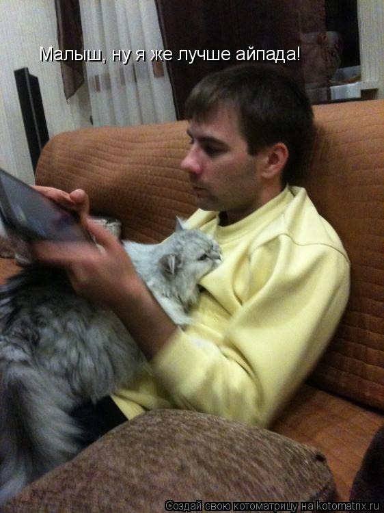 Малыш, ну я же лучше айпада!... Котоматрица: Малыш, ну я же лучше айпада!