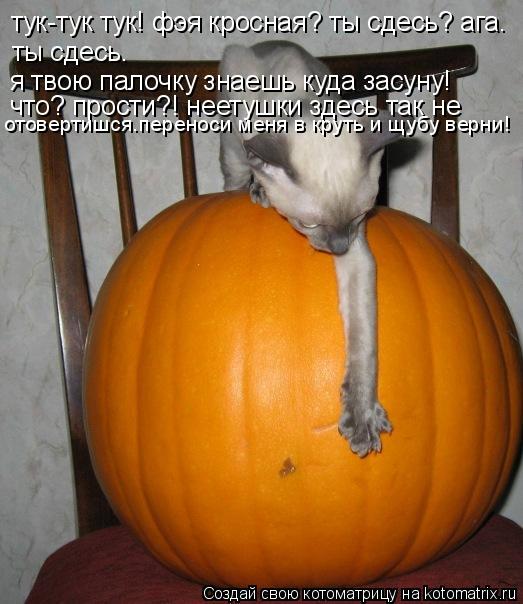 тук-тук тук! фэя кросная? ты сдесь? ага. ты сдесь. я твою палочку знаешь куда засуну! что? прости?! н... Котоматрица: тук-тук тук! фэя кросная? ты сдесь? ага. ты сдесь. я твою палочку знаешь куда засуну! что? прости?! неетушки здесь так не отовертишся.переноси