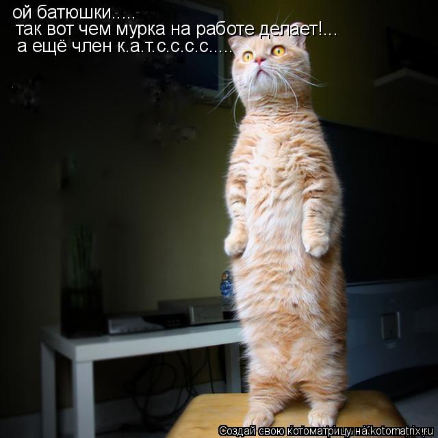 Котоматрица: ой батюшки.....  так вот чем мурка на работе делает!... а ещё член к.а.т.с.с.с.с.....