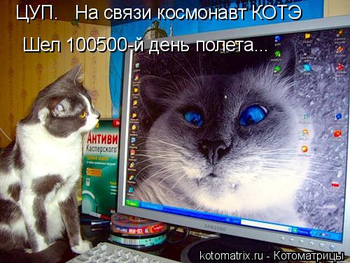 Котоматрица: ЦУП.   На связи космонавт КОТЭ Шел 100500-й день полета...