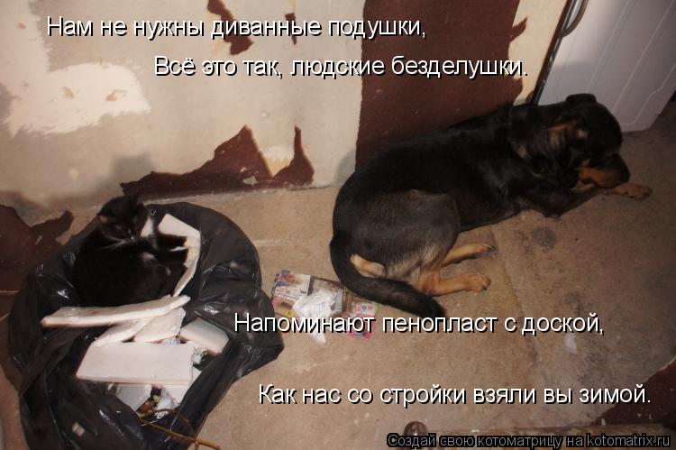 Котоматрица: Нам не нужны диванные подушки, Всё это так, людские безделушки. Напоминают пенопласт с доской, Как нас со стройки взяли вы зимой.