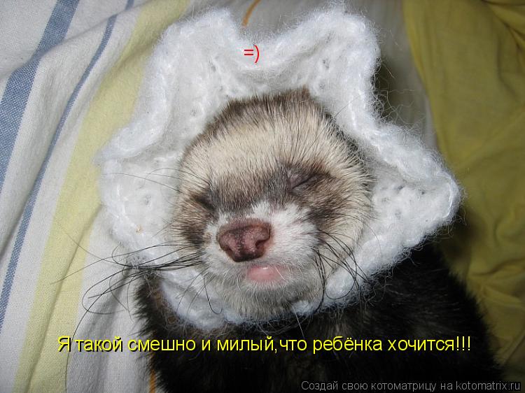Котоматрица: =) Я такой смешно и милый Я такой смешно и милый,что ребёнка хочится!!!