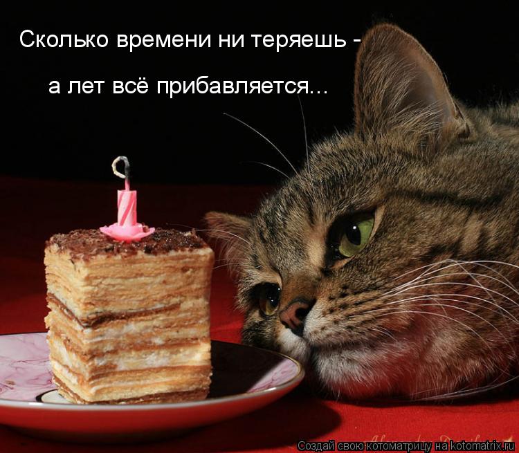 Котоматрица: Сколько времени ни теряешь - а лет всё прибавляется...
