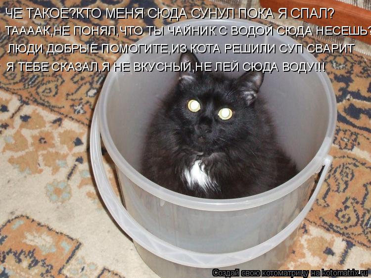 ЧЕ ТАКОЕ?КТО МЕНЯ СЮДА СУНУЛ ПОКА Я СПАЛ? ТААААК,НЕ ПОНЯЛ,ЧТО ТЫ ЧАЙНИК С ВОДОЙ СЮДА НЕСЕШЬ? ЛЮДИ ДОБ... Котоматрица: ЧЕ ТАКОЕ?КТО МЕНЯ СЮДА СУНУЛ ПОКА Я СПАЛ? ТААААК,НЕ ПОНЯЛ,ЧТО ТЫ ЧАЙНИК С ВОДОЙ СЮДА НЕСЕШЬ? ЛЮДИ ДОБРЫЕ ПОМОГИТЕ,ИЗ КОТА РЕШИЛИ СУП СВАРИТ Я