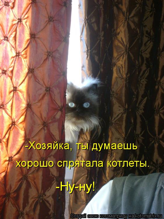 -Хозяйка, ты думаешь хорошо спрятала котлеты. -Ну-ну!... Котоматрица: -Хозяйка, ты думаешь хорошо спрятала котлеты. -Ну-ну!