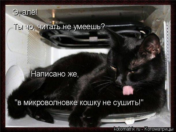 Э, алё! Ты чо, читать не умеешь? Написано же, "в микроволновке кошку не сушить!"... Котоматрица: Э, алё! Ты чо, читать не умеешь? Написано же, "в микроволновке кошку не сушить!"